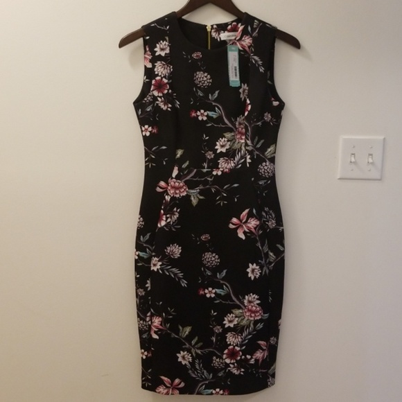 calvin klein fionna knit dress